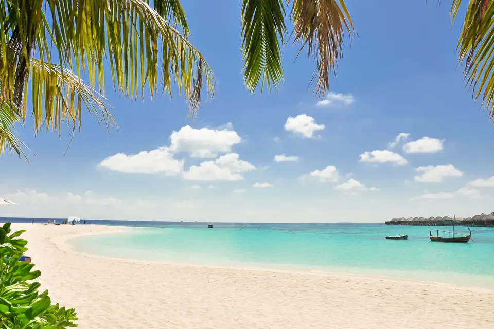 Turquoise water and a white-sand beach framed by palms